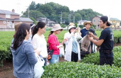第1回日本茶アンバサダー公募認定講座開催のご報告