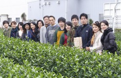 [終了]第3回 日本茶アンバサダー公募 認定講座の募集開始！5月末〆切り（限定10名）