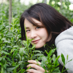 日本茶アンバサダー協会代表理事 満木葉子
