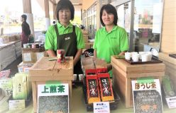 岐阜のお茶旅 vol.28_伝統から進化へ　洗練された新世代の白川茶　新田製茶